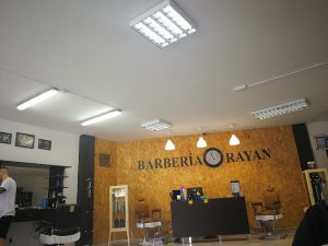 Barberia rayan — Arrecife, Lanzarote