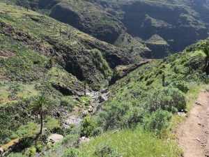 Barranco de Arure — San Sebastián de La Gomera, La Gomera