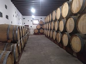 Bodega Los Bermejos — , Lanzarote