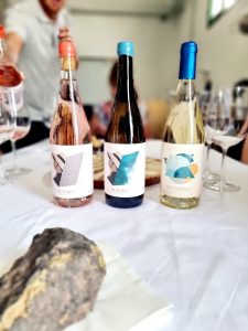 Bodega Olivina
