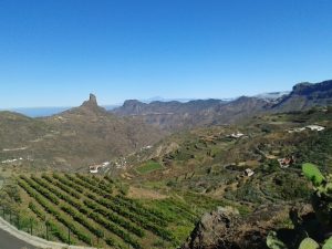 Bodegas Bentayga — , Gran Canaria