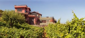 Bodegas Monje — , Tenerife