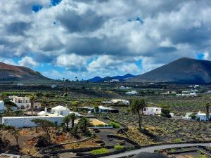 Bodegas Vega de Yuco — , Lanzarote