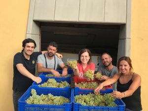 Bodegas Viñátigo — Santa Cruz de Tenerife, Tenerife