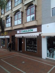 𝑹𝒐𝒑𝒂 𝑩𝒐𝒉𝒐 | Camaleón Las Canteras | ʟᴀꜱ ᴩᴀʟᴍᴀꜱ ᴅᴇ ɢʀᴀɴ ᴄᴀɴᴀʀɪᴀ — , Gran Canaria