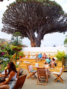 Casa del Drago — , Tenerife