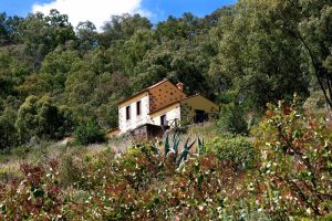 Casa Rural Las Caldereras — Teror, Gran Canaria