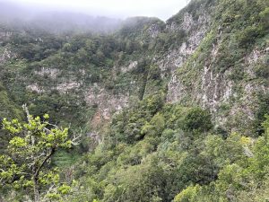 Chorros del Cedro — , La Gomera