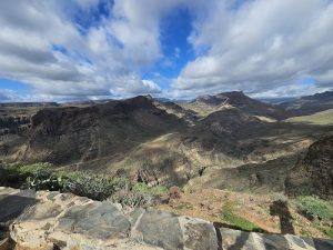 Discovery Safari — Maspalomas, Gran Canaria