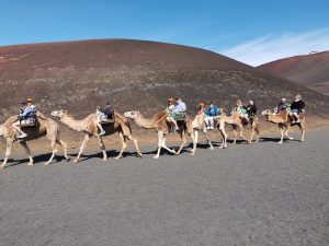 Echadero de Los Camellos — , Lanzarote