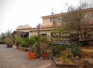 Finca Ecológica Alma de Trevejos — Santa Cruz de Tenerife, Tenerife