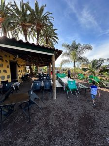 Guachinche Casa Lito — , Tenerife