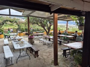 Guachinche El Cubano — , Tenerife