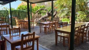 Guachinche El Patio — , Tenerife