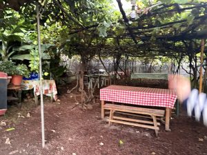 Guachinche Piscuela — , Tenerife