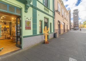 Kactus La Laguna (Artesanía Canaria y Souvenir) — , Tenerife