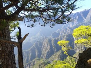 Mirador Lomo de las Chozas — Santa Cruz de la Palma, La Palma