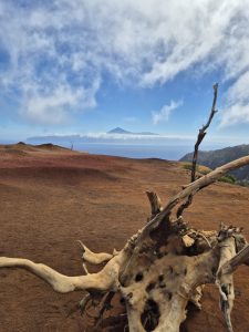 Montaña del Cepo — San Sebastián de La Gomera, La Gomera