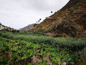 Productos Artesanales El Tabaibal S.L. — San Sebastián de La Gomera, La Gomera