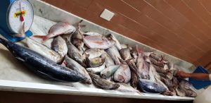 Restaurante Casa Placido 10% — , Tenerife