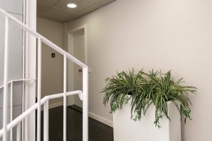 Smartr Las Palmas — , Gran Canaria