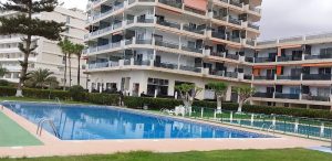 Tenerife Experience Hostel — , Tenerife