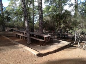 Area recreativa El Fayal