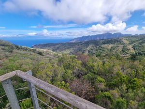 Centro de Visitantes Juego de Bolas (Parque Nacional de Garajonay. La Gomera)