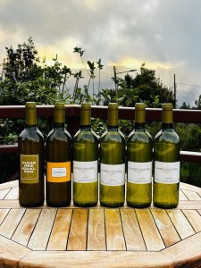 Cumbres de Igualero. Vinos Naturales de Canarias. Forastera Gomera. Cita previa telefónica — San Sebastián de La Gomera, La Gomera