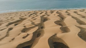 Best restaurants in Maspalomas 2026 — Beyond the tourist menus