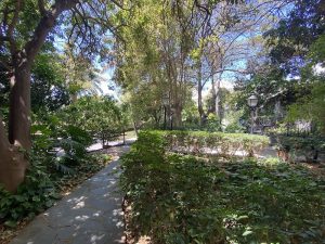 Huerto de Las Flores – Jardín Botánico de Agaete — Agaete, Gran Canaria