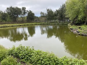 Parque de Laguna Barlovento — , La Palma