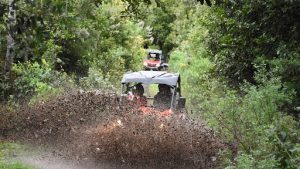 RhBuggy – Canary Live Experience. Excursiones en La Palma – Canarias — Garafía, La Palma